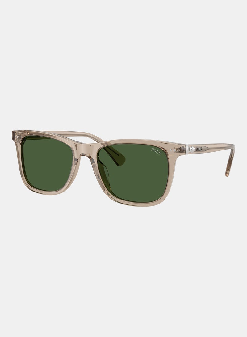 POLO RALPH LAUREN Full Rim Square Sunglasses 0PH4220U - Image 2